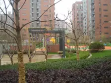 三林·万科金色雅筑·2室·1厅