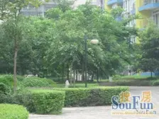 3号15号线双轻轨!银鑫小区大4房2卫!户型采光好