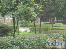 两路老城 银鑫小区三房41.2万