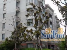 三轨交汇,中间楼层,不靠路,一梯两户,诚意出售