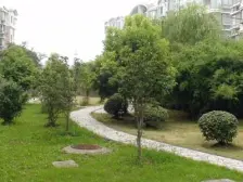 金色杉林全配2房出租,小区中心,户型正气,南北通透