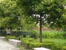 电梯好房全明南北户型配套好近商场看河景