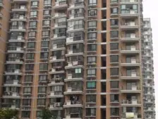 三林新达汇旁 毛坯 自由设计 带阁楼40平左右板式户型