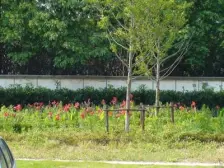 商品房,双地铁,一梯两户板式,双阳台南北通透。