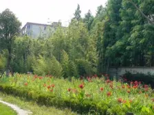 三林·桃李家园·4室·2厅