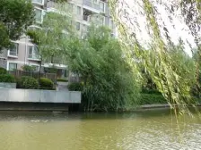 近地铁 无抵押 产权清晰,电梯房 必看好房