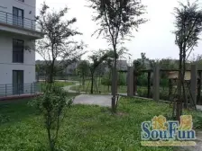 加州花园 5室2厅 南