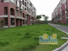 外冈新苑 3室2厅 南 北