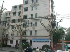 大金更小区 1室1厅1卫 南