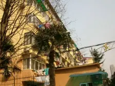 芙蓉小区 2室1厅1卫 南