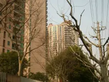 高区大平层,25平大阳台,空中花园,带产权车位,视野开阔,