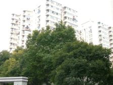 2号线地铁口的三房采光视野好看房方便