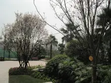 二期正规三房,带车位,视野好,看江无遮挡!