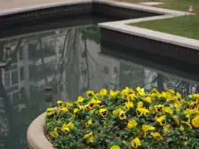 雅居乐国际花园一期 3室2厅 东南 西北