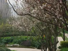 南岸六公里 雅居乐国际花园三期,看江大平层 视野开阔