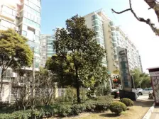 上海大花园 2室2厅 南 北