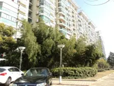 上海大花园3室南朝向1230.00万元/套出售