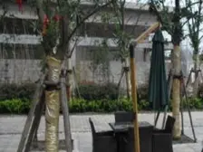 近地铁,采光好,入住快,无抵押 热销好房