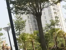 柏丽华庭别墅 安静看花园小区 停车方便 实用面积大