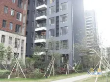 名仕馆 南北通透,采光好 装修好,环镜优美 近地铁 视野好,诚心出售