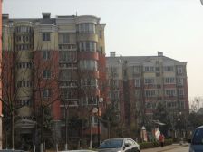 锦绣花园毛坯六房顶跃S6麒麟门站马群东