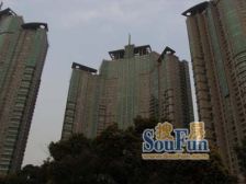 世茂北区,自住装修大三房,南北通透,出价谈