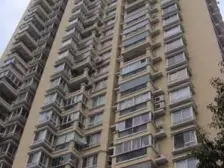 陆家嘴菊园三房,满五年,全南向,位置安静,观感好