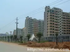 彩虹 大3房 装修清爽 太阳无挡