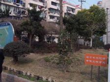 塘桥·文兰小区·1室·1厅