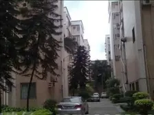 天星花园 1室1厅 南