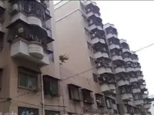 天星花园 1室1厅 南