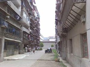 绿苑休闲住宅小区户型方正,采光好装修好,环镜优美视野好,诚心出售