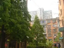 长桥五村 2室1厅 南