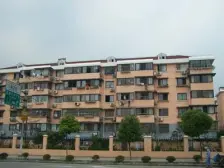 虹梅新苑北区 2室2厅 南