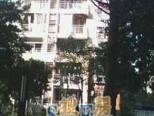 换房急售 双巴蜀 孩子成长无优 价格美丽