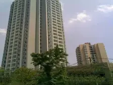 龙洲湾 龙洲花园三房45万