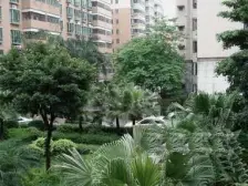 鱼洞 乐意苑三房56万