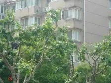 中间楼层,精装修,进小区出入口,可设计强,采光耀眼