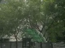 中海寰宇时代 红旗河沟双轻轨 电梯两房 位置相当霸道