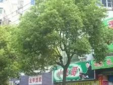 青山南路129号南昌商场宿舍 近地铁 中间楼层