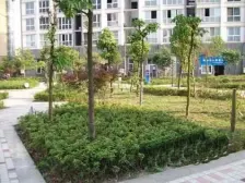 巴国城 银海方舟三房