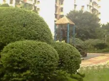 房子是正规一室一厅户型方正业主诚心出售
