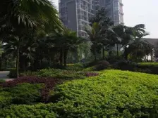 谢家湾 大鼎第一时间A区一房59.7万