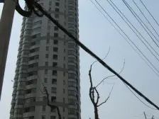 北外滩·白金**·3室·2厅