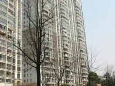 高区C位可直视S湾三件套更是一览无余