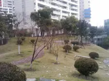 安静位置大两房,业主诚意出售,采光好,