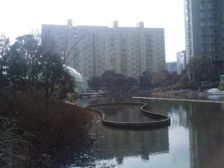 近地铁电梯房,无抵押产权清晰业主诚意