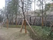 石坪桥 嘉铠街坊邻居二房75万