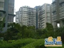 石桥铺 渝高B座三房113万