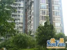 石桥铺 渝高B座四房